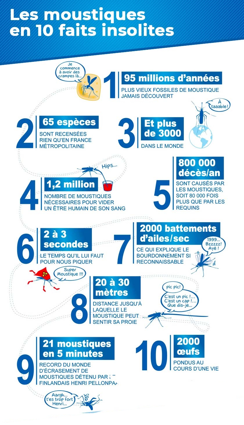 Infographie : 10 faits insolites sur les moustiques
